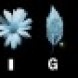 Glyphs