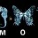 Glyphs