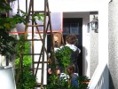Fringe On The Set - Saison 3 