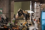 Fringe On The Set - Saison 3 
