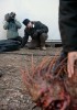 Fringe On The Set - Saison 1 